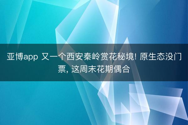 亚博app 又一个西安秦岭赏花秘境! 原生态没门票, 这周末花期偶合